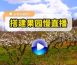 怎么把果园直播到各大视频平台？